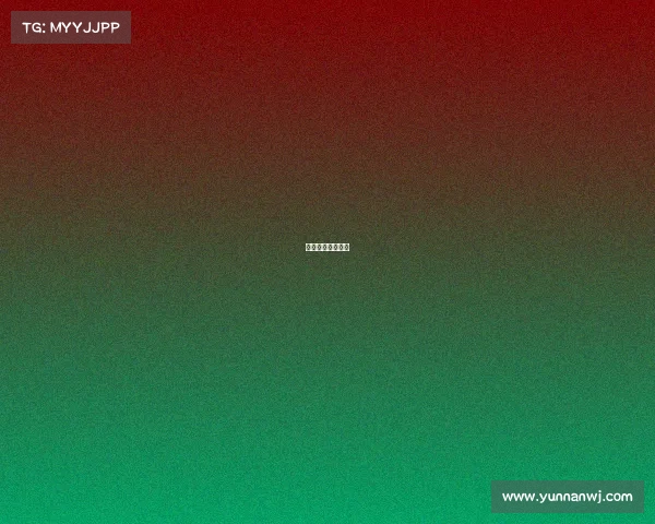 澳超比赛视频直播