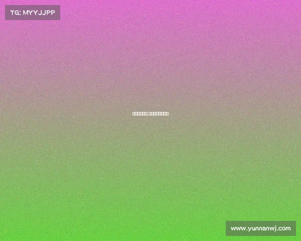 武术赛事视屏,武术网络视频大赛