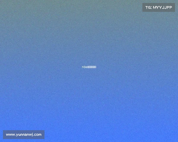 nba比赛新闻报道