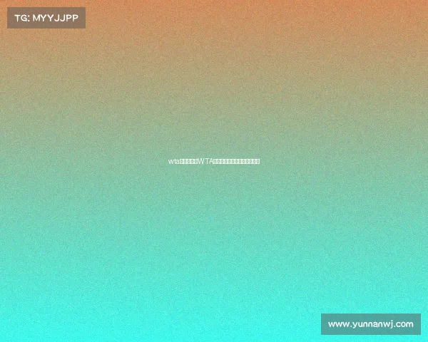 wta赛事级别、WTA赛事级别名称对应的冠军积分